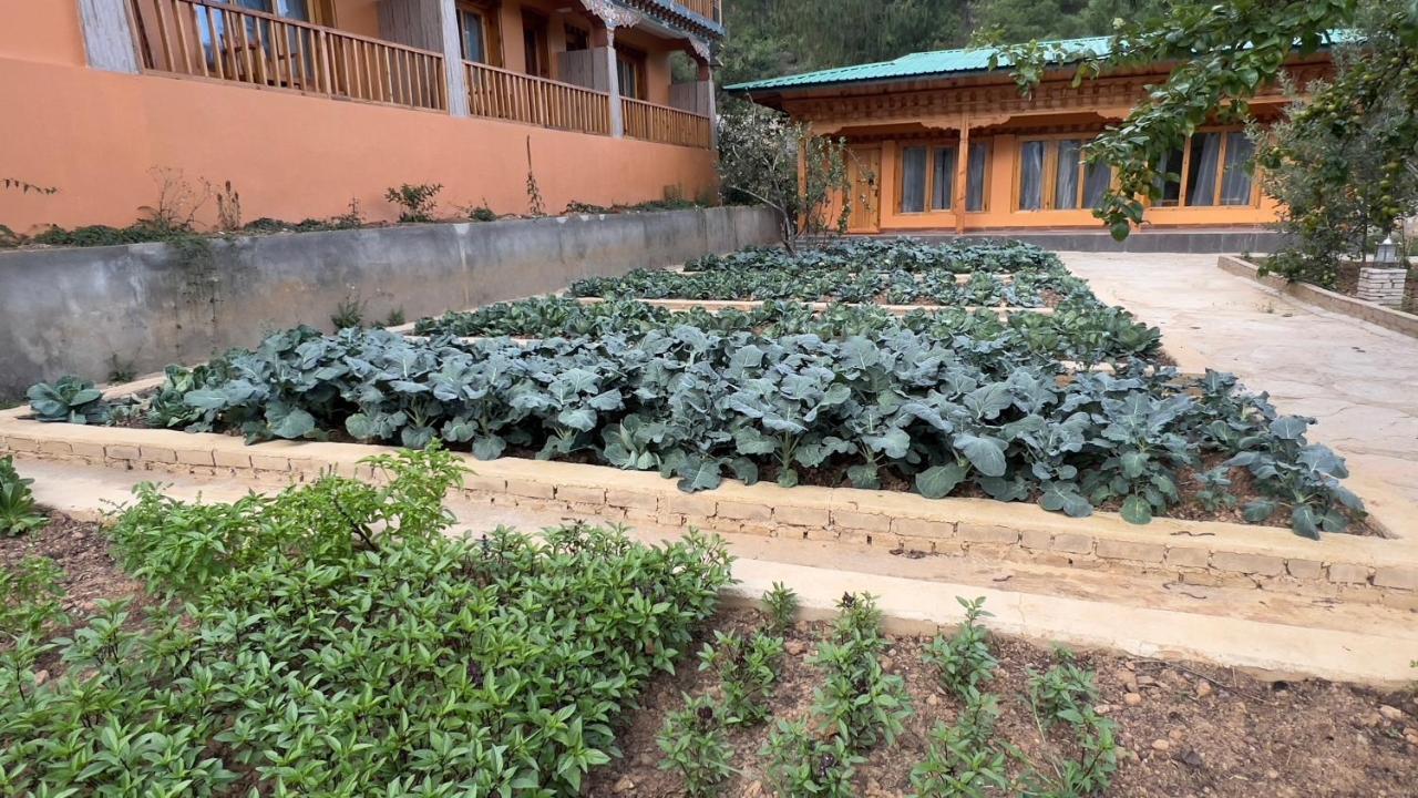 Rema Resort Paro Kültér fotó